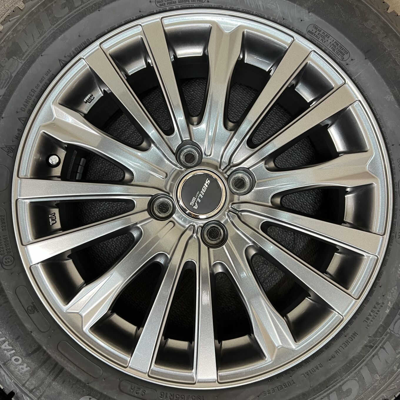 Michelin SIBILLA NEXT WS 195/65 R16, фото 4
