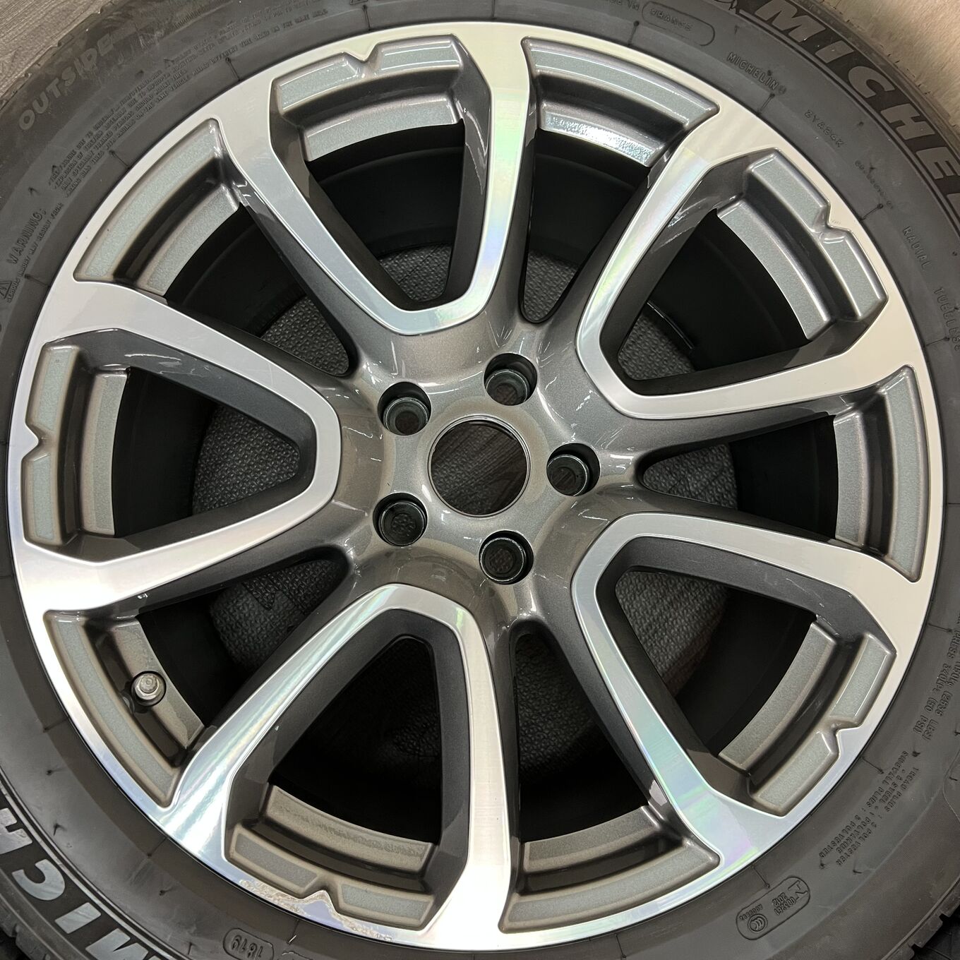 Michelin LEVANTE 295/45 R19, фото 4
