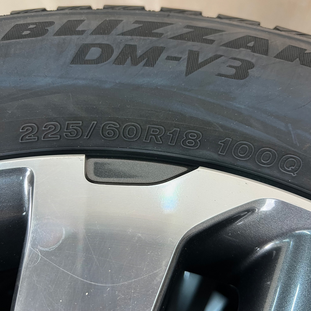 Bridgestone BLIZZAK DM-V3 225/60 R18, фото 6